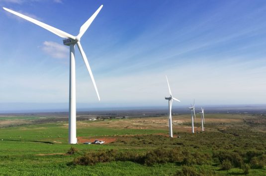 Wind Farms, Northern Cape